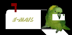 amazon email.gif (13556 bytes)