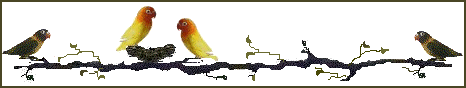 banner2.gif (9531 bytes)