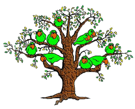 birdstree.gif (47448 bytes)