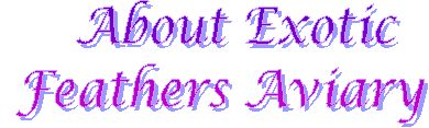 image97.gif (5989 bytes)